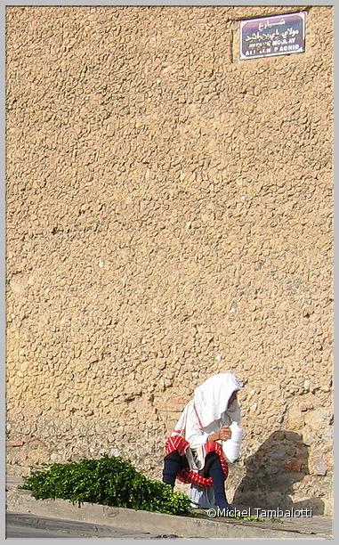 Maroc 2006 - 0189 - Herbes1